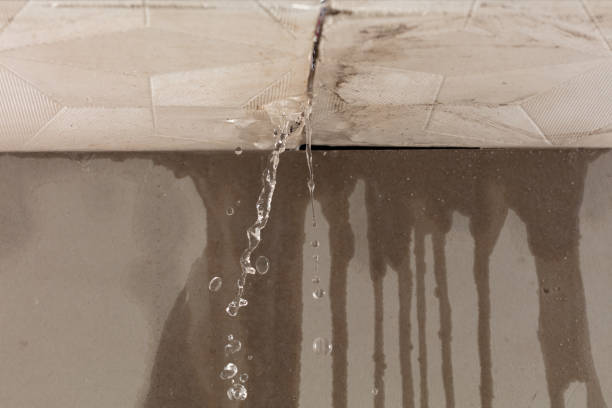Professional Water Damage Repair technician working in Caddo Mills, TX